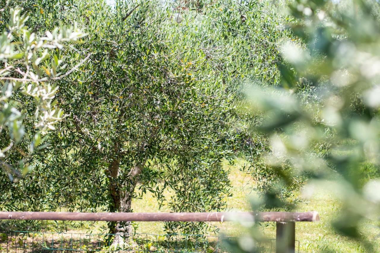 Agriturismo Filettro Volterra Exteriér fotografie