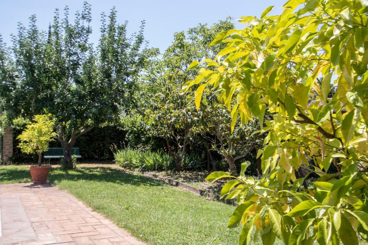 Agriturismo Filettro Volterra Exteriér fotografie