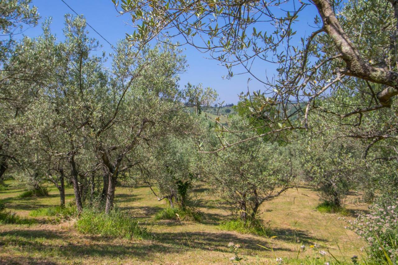 Agriturismo Filettro Volterra Exteriér fotografie
